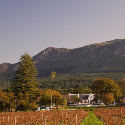 https://capewinefarms.com/static/894/w_190_main_pic_0__scale_and_crop__500x500.jpg
